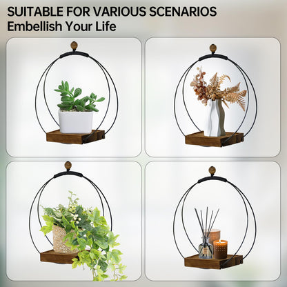 Adnkwolivt Hanging Planters for Indoor Plants - Plant Hanger Outdoor Pack of 2, Metal Plant Hanger Mid Century, Hanging Wall Ceiling Window, Gift for Mom, Plant Lovers, Housewarming