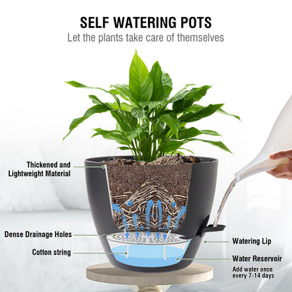 Meowell 10 inch Self Watering Hanging Planters, 2 Pack Hanging Baskets for Indoor Outdoor Plants, Hanging Flower Pots with Drainage Holes & 2 Kinds of Plant Hangers for Garden Home Decor, Black