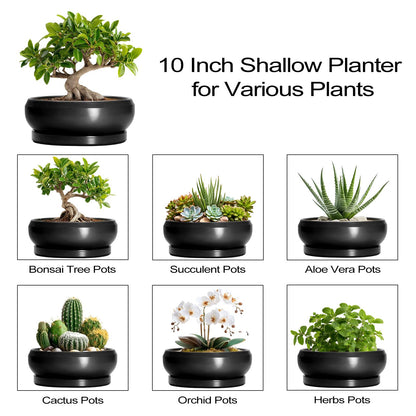 EPFamily Bonsai Pots 10 Inch - Ceramic Succulent Planters Indoor Outdoor, Bonsai Pots with Drainage Hole and Tray, Modern Shallow Planter, Round Bowl Planter, Garden Decor, Garden Gift, Black