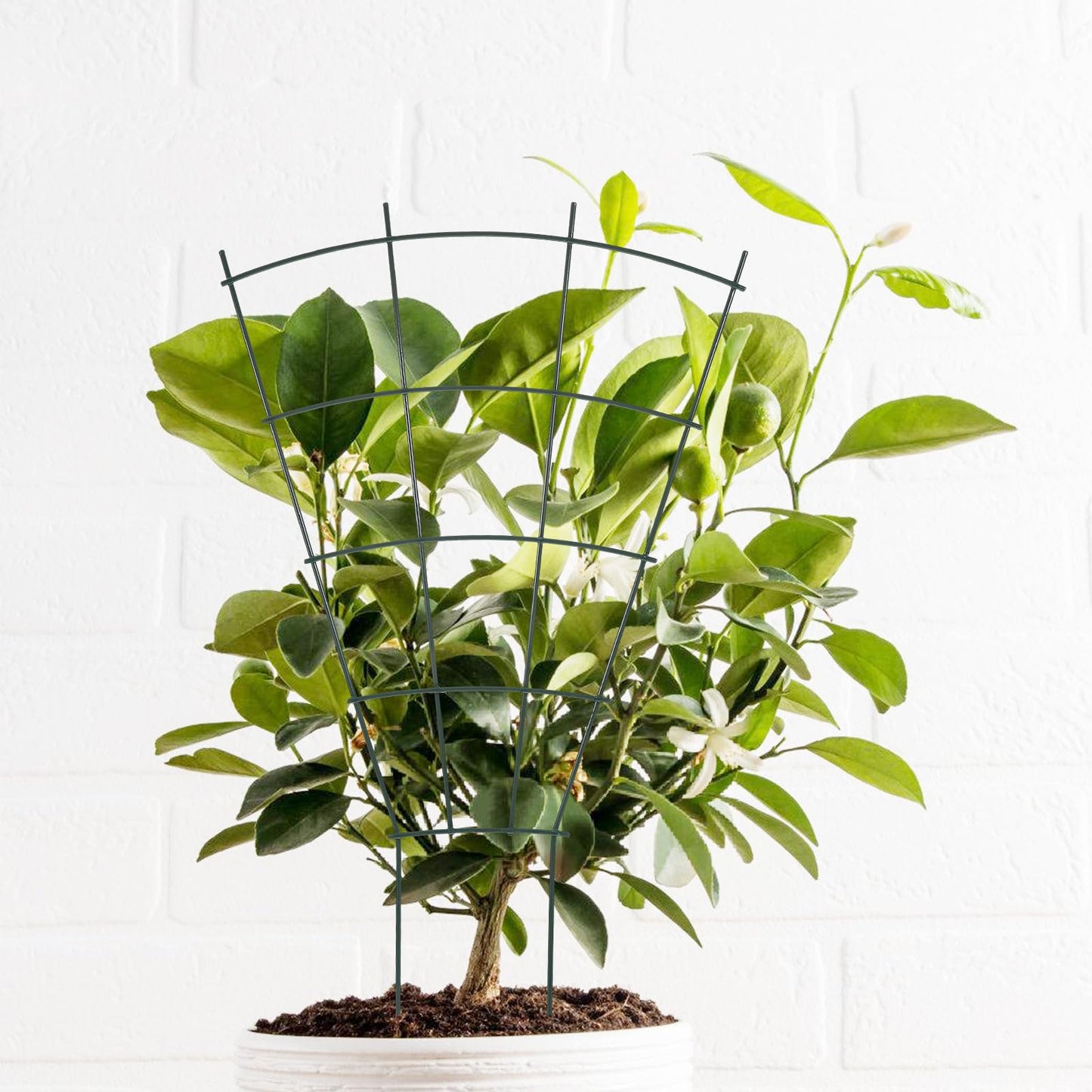 Operitacx Garden Trellis Plant Climbing Rack for Indoor and Outdoor Use, Metal Vine Climbing Support with Fixed Stakes for Potted Plants and Garden Vegetables