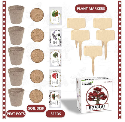 Bonsai Tree Kit – Grow 5 Species of Bonsai Tree w/Our All-in-One Plant Kit: Bonsai Pots & Peat Pellets Including a Tutorial Video by CZ Grain | Great Gardening Gifts for Women and Men
