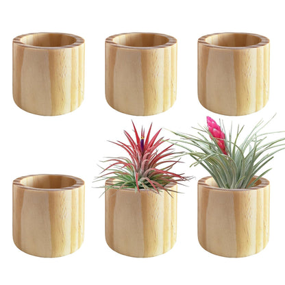 Belit 6 Pcs Air Plant Holder, Large Wooden Air Plants Live Holders for Home Decor (NO Plant Included)