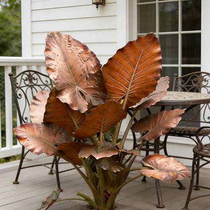 Hardy Elephant Ear Plant Bulbs | Tropical Colocasia for Home Garden & Outdoor Patio Landscaping (4)