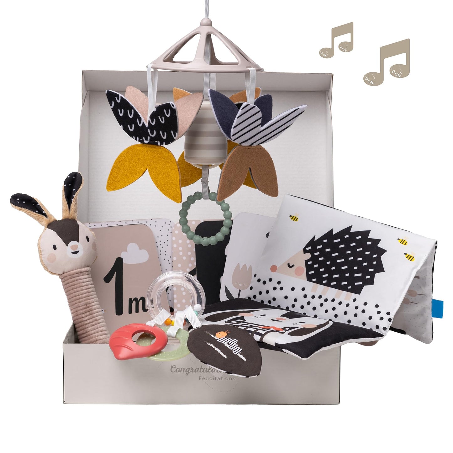 Taf Toys Black and White Newborn Kit - 10 Black and White Baby Toys, High Contrast for Newborn, Baby Essentials Must Haves, Tummy Time Toys for Motor Skills Infants Babies 0 3 6 Months