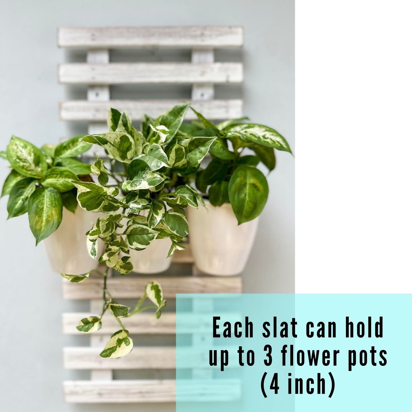 ShopLaLa Wooden Wall Planters - 2 Pack Wall Hanging Planters for Indoor Plants, White Rustic Wood Wall Mounted Flower Pot Holder Vertical Succulent Orchid Airplant Frame Display 15.7" (40cm)