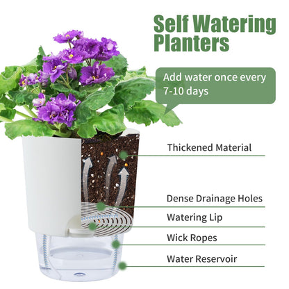 Oliz 6 Inch Self Watering Planter Pots for Indoor Plants, 3 Packs African Violet Pots with Wick Rope and Visible Reservoir Self Watering Planter for Herb, Houseplants