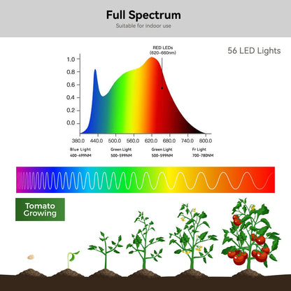 Grow Lights for Indoor Plants Full Spectrum, Clip On Plant Light for Small Plants, Plant Lamp with Adjustable Gooseneck, 4/8/12H Timer, 3 Color Adjustable & 10 Dimmable Brightness, Remote Control