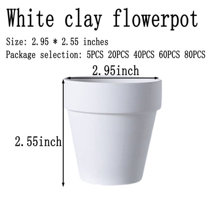 XXYXXY 20 Pieces 2.95 inch White Terra Cotta Pots Mini with Drain Holes Juicy flowerpots Home Office, windowsill, Wedding Decoration flowerpots（White） ﻿