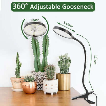 Bufccy Indoor Plant Grow Light, 6000K Full Spectrum LED, Auto On/Off Timer, 9 Dimming Levels, 360 Adjustable Gooseneck, Modern Style, Black