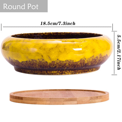 Succulent Pots, 1 Rectangle Planter + 1 Ceramic Bonsai Pot with Drain Tray, 2 Pack Large Shallow Succulent Planters for Indoor Plants, Round Cactus Flower Plant Pot for Desk Windowsill Decor