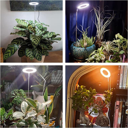 Aokrean Grow Light, Full Spectrum Plant Grow Light, Height Adjustable, Auto Timer, 3 Lighting Modes for Indoor Plnats, 5V