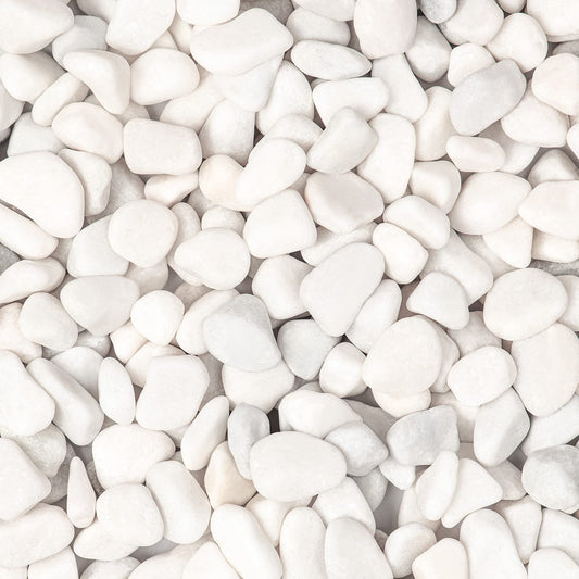 Ausluru 5lbs White Natural River Rocks, Polished Pebbles for Plants Garden, 0.3-0.8 inch Decorative White Stones, Ideal for Fish Tank, Vases, Crafting, Home Decor and Garden Landscaping Rocks,White