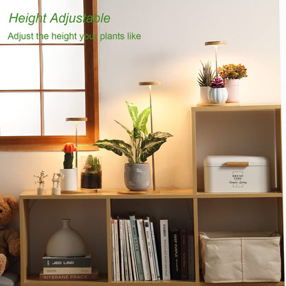 Plant Grow Light for Indoor Plant,Bamboo Mini LED Grow Light Garden,Height Adjustable,Automatic Timer with 8/12/16 Hours