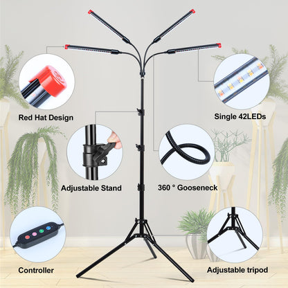 FRGROW 4Head Grow Light with Stand for Tall Indoor Plants, Bonsai Tree, Bright Full Spectrum Plant Growing Lamps, 4/8/12/16/20H Timer, 36 Watt Power Draw, NO Need Adapter, 360° Gooseneck