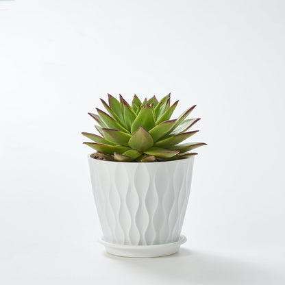 FaithLand 6-Pack 6-Inch Plastic Plant Pots with Saucers | Thickened PP Material, Modern Wave Texture, Enhanced Drainage for Indoor/Outdoor Garden Plants | White Value Set