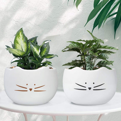 Koolkatkoo 5.5 Inch Cute Cat Succulent Planter Pots Cactus Planters Flower Pots White Set of 2