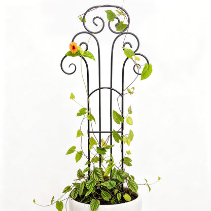 GOOOXIM 31 Inch Trellis for Potted Plants - Iron Plant Support for Climbing Vines and Houseplants, Ideal Garden Stake for Monstera and Medium Plants, Perfect for Indoor and Outdoor Use