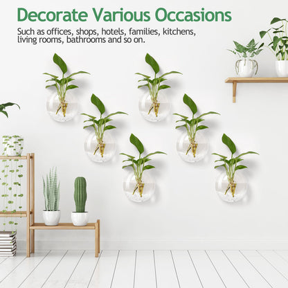 Layhit 8 Pcs Wall Hanging Planters Terrarium Glass Propagation Wall Mounted Planter Oblate Flower Vase Clear Glass Plant Containers for Hydroponics Plants Home Office Garden Decor