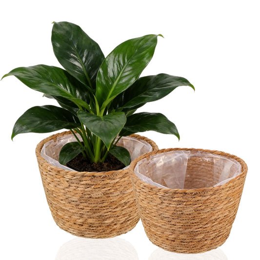 Hoceium 2PCS Seagrass Plant Basket for Indoor and Outdoor,Wicker Large Planter Basket for 6 inch Pot,Rattan Plant Pot Covers for Potted Plants,Woven Storage Baskets for Rustic Boho Farmhouse Decor