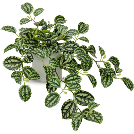 GnFlus Fake Hanging Plants, 20 Inch Artificial Ivy Plant in Ceramic Pot Faux Watermelon Peperomia Trailing Vine Plant Potted for Home Bedroom Office Table Shef Desk Indoor Outdoor Decor Green