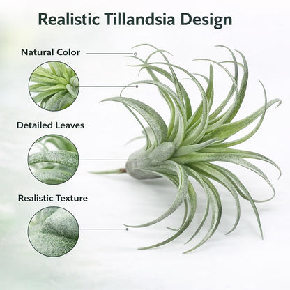 2 Pack Artificial Air Plants, Realistic Looking Faux Tillandsia Succulents Plants for Home Decor, Indoor Outdoor Garden, Terrarium, Office Desk, Wedding Displays (Green)