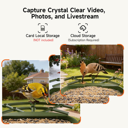 CINMOORE Smart Bird Feeder with Camera - Solar Powered, AI Bird Recognition, 2.4G WiFi 2.5K HD Video Live Stream, Full Color Night Vision, Instant Arrival Alerts, Weatherproof Bird House for Outside