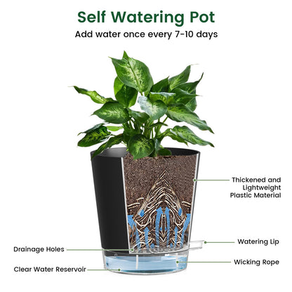 Meowell Self Watering Pots Pack of 6 – Different Size 4" to 7" Indoor Plant Pots with Drainage Holes and Clear Reservoir for Visible Water Level, Plastic Wicking Planters for House Plants, Black