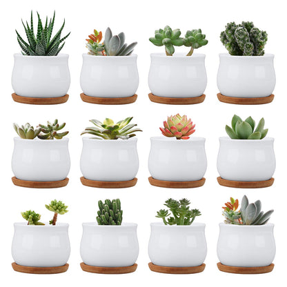 Brajttt Succluent Pots ，Small Flower Pots Planter Pots with Drinage,Ceramic Flowers Pots with Bamboo Tray for Cactus(12 Pack