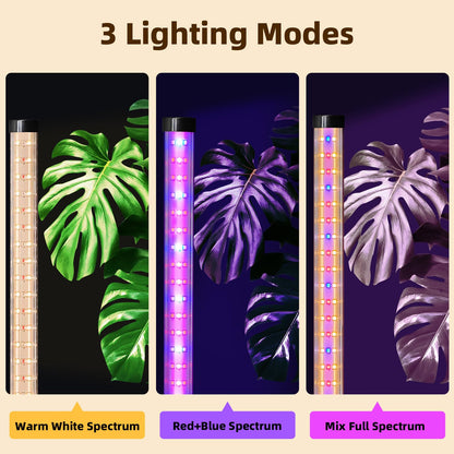 Standing Grow Light for Indoor Plants with Timer,42W Full Spectrum Vertical Grow Lights for Indoor Plants,4FT T8 243LED Plant Lights for Indoor Growing with On/Off Timer Function, 2 Pack