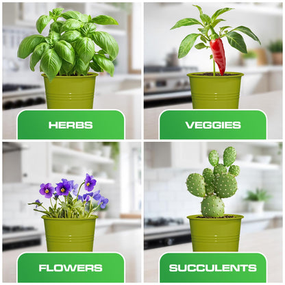 Plexon Herb Planter Indoor Garden Set of 3 with Tray, Metal Herb Pots for Indoor Plants, Round Kitchen Garden Kit Ideal for Windowsill Planter or Countertop, Green Powder Coated