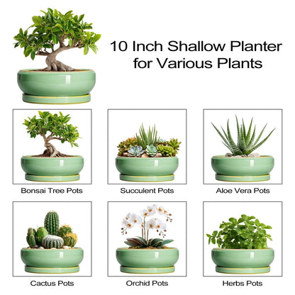 EPFamily 10 Inch Bonsai Tree Pots - Ceramic Succulent Pots with Drainage Hole and Tray, Shallow Planter for Indoor Outdoor Plants, Round Planters, House Decor, Gifts for Plant Lovers, Light Green
