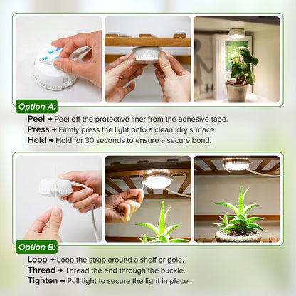 SGLEDS 7W Grow Light for Indoor Plants, Full Spectrum Plant Light with Auto Timer (3/6/12H) & 4-Level Dimming, Small Led Grow Light for Seedlings, Succulents, Herbs