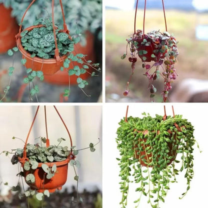 KYUQY Plastic Plant Pots, 4“ Wall Hanging Flower Pot Hanging Nursery Pots Plastic Orchid Pot for Outdoor Indoor Garden Decor (10PCS)