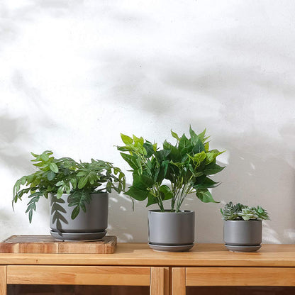 Yishang Succulent Plant Pots,6.7+5.3+4.1 in Glazed Ceramic Planters with Connected Saucers, Round Modern Ceramic Flower pots - Small to Large Sized Plant pots for All House Plants(Matte Grey)