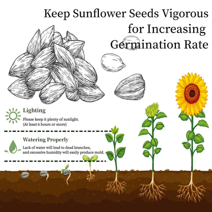 Flower Growing Kits, Windowsill Planting Kit with Planting Bags, Coir Soil & Tools Indoor Gardening Starter Kit with Seed(Sunflower, Zinnias & Marigold) Flower Gardening Gifts for Women & Men