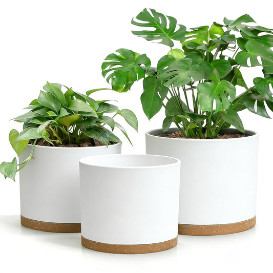 DGJDLWHX Large Plant Pots Set of 3 – 8", 9", 10" Indoor Flower Pots with Drainage Holes and Saucers, Big Planters for Monstera, Fiddle Leaf Fig, Snake Plant – 5 Colors