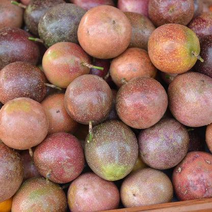 Purple Passion Fruit Live Plant, Passion Fruit Plant Live, Cold Hardy, 1-2 Feet in Height, 1 Gallon Pot for Outdoor Gardening