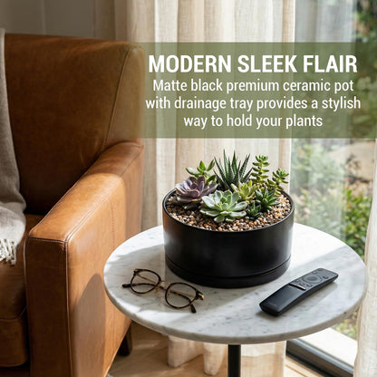 MyGift 8 Inch Black Ceramic Succulent Planter Pot - Decorative Flower Plant Bowl with Removable Saucer