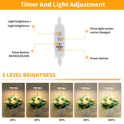 GooingTop LED Grow Light, Halo Plant Growing Lamp for Indoor Plants Growth, White Full Spectrum Low Light for Small Plants,Upgrade Timer 4/8/12/18 Hrs & Variable Spectrum,2 Pack