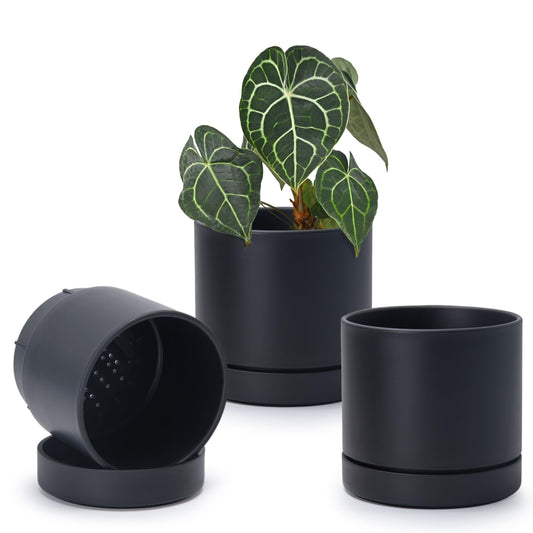Phoenix Vine 6 Inch Planter Pot with Drainage Hole & Saucer, Deep Water Catch Tray, Straight Cylindrical Round Pot for Plants, Matte Black, Pack of 3, 23-C-S-3