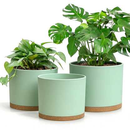DGJDLWHX Large Plant Pots Set of 3 – 8", 9", 10" Indoor Flower Pots with Drainage Holes and Saucers, Big Planters for Monstera, Fiddle Leaf Fig, Snake Plant – 5 Colors