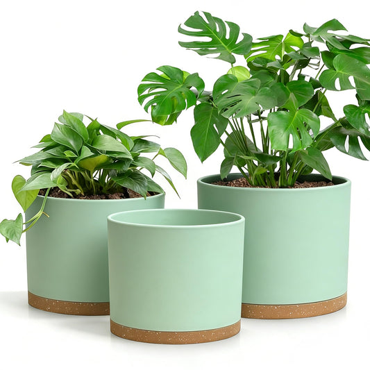 DGJDLWHX Large Plant Pots Set of 3 – 8", 9", 10" Indoor Flower Pots with Drainage Holes and Saucers, Big Planters for Monstera, Fiddle Leaf Fig, Snake Plant – 5 Colors