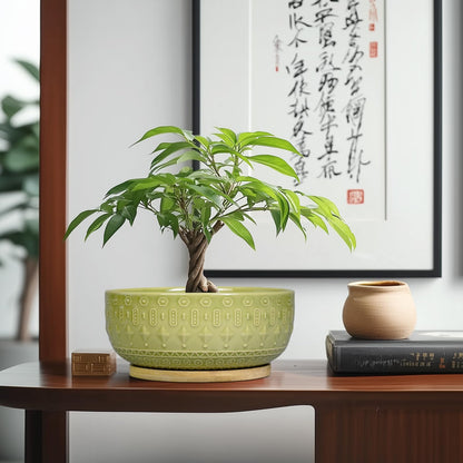 Fivepot Bonsai Tree Pot - 8 Inch Ceramic Succulent Pots with Drainage Hole and Saucer, Boho Round Shallow Planter Bowl for Indoor Plants Flower, Office Decor, Gifts for Women & Men, Green