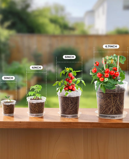 homenote 5 Inch Clear Nursery Pots 30 Pack with Drainage and Plant Saucers, Rigid High Transparency Plastic Nursery Pots for Plants,Thick Walled Planter Nursery Pots with Upgraded Drainage Holes