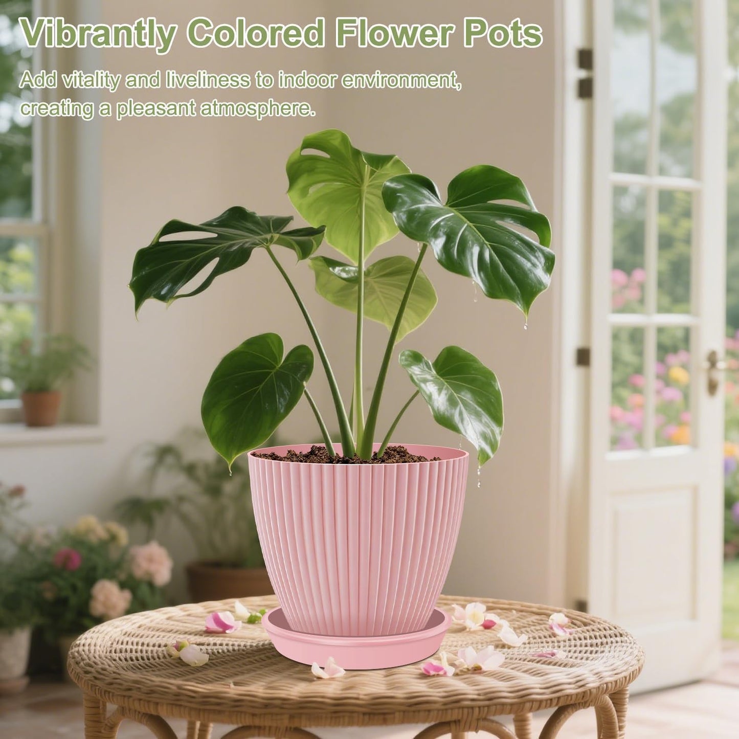 SupKing Plant Pots with Drainage Saucers 7.5/6.7/6/5/4/3.5 Inch Set of 6,Plastic Flower Pots Planters with Multi Mesh Drainage Holes Multicolor Nursery Planting Pot for Indoor Outdoor Garden Plants