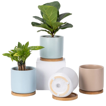 OMAYKEY Succulent Pots, 4 Inch Ceramic Planter Plant Pot with Tray, Drainage Hole & Mesh Pad for Indoor Flowers, Cactus, Herbs, Aloes - Cool Multicolor, Set of 4 (Plant Not Included)