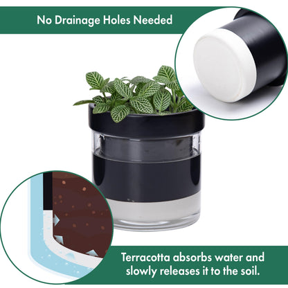 Phoenix Vine 4 Inch Self Watering Terracotta Planter, Black Terracotta Clay Pot with Glass Reservoir for Indoor Plants, Herbs, Flowers, Set of 1, 52-C-E-1