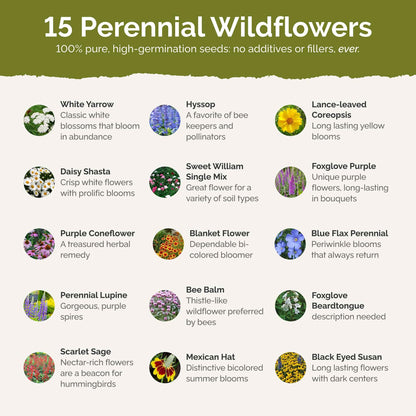 Eden Brothers Deer Resistant All Perennial Wildflower Mixed Seeds for Planting, 5 lb, 2,400,000+ Seeds with Sweet William | Attracts Pollinators, Plant in Spring or Fall, Zones 3, 4, 5, 6, 7, 8, 9, 10