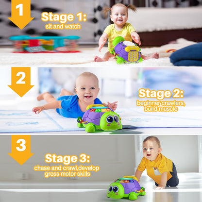INNOSKY Baby Toys 6-12 Months, Musical Turtle Crawling Tummy Time Development Light up Infant Toys 12-18 Months, Bilingual Educational Boy Girl Gifts Toy for 3-6 4 5 7 8 9-12 Month