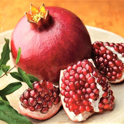 Pomegranate Tree Live Plant, Potted Pomegranate Plant, 6 to 10 Inch Tall, Pomegranate Fruit Tree, Pomegranate Plants Live, Pomegranate Bush, Red Pomegranate Tree, 1 Year-Old Plant